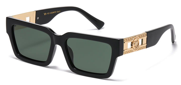 Polarized VG PZ-VG29672