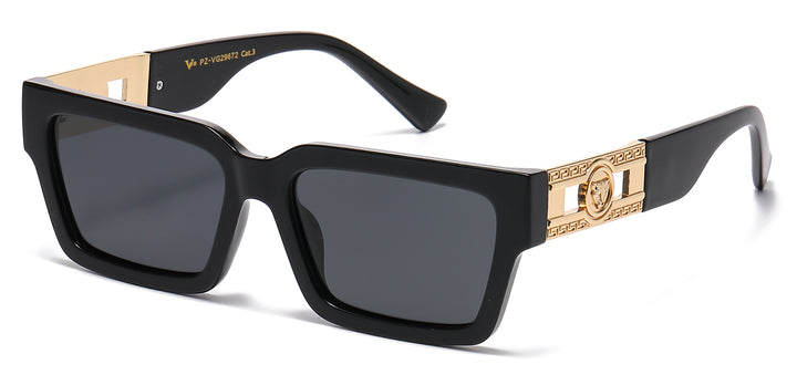 Polarized VG PZ-VG29672