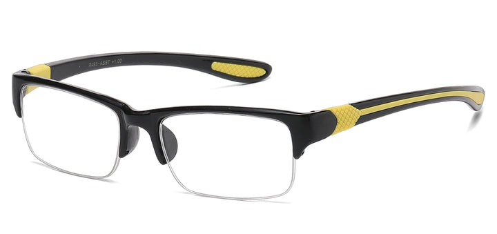 Reading Glasses R493-ASST